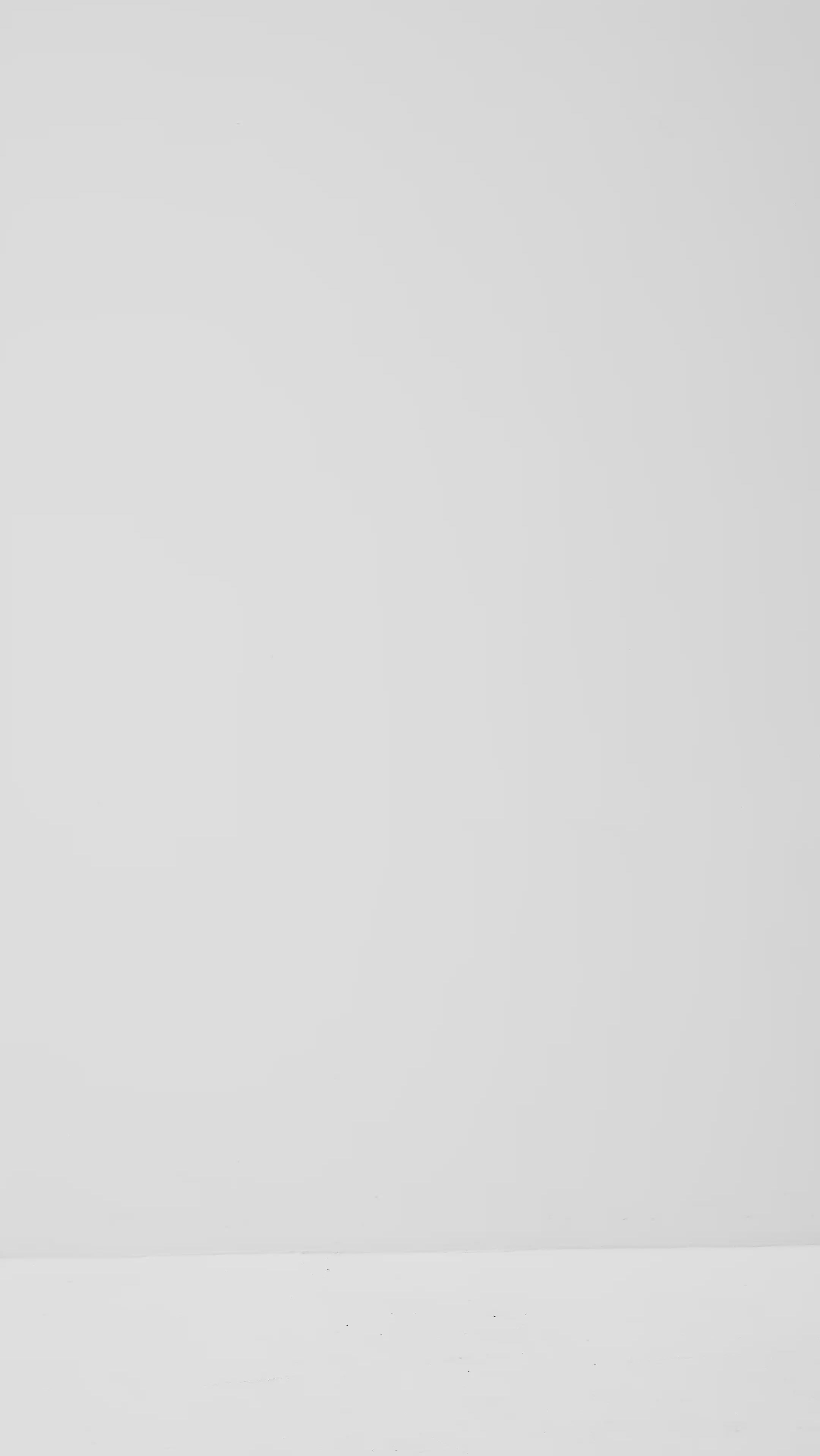 Lucy-M_Medium Melange_Video_2