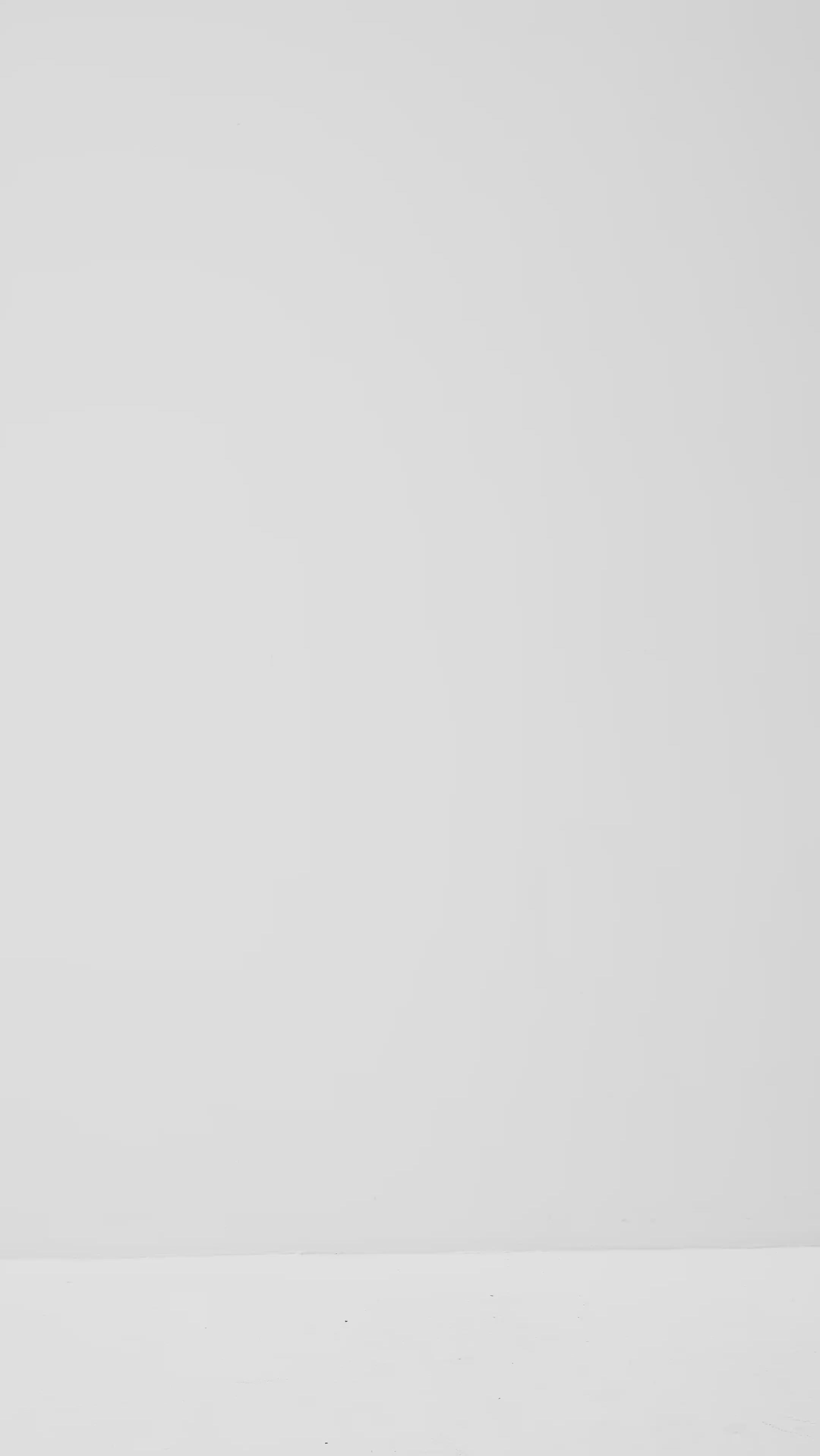 Lucy-M_Medium Melange_Video_