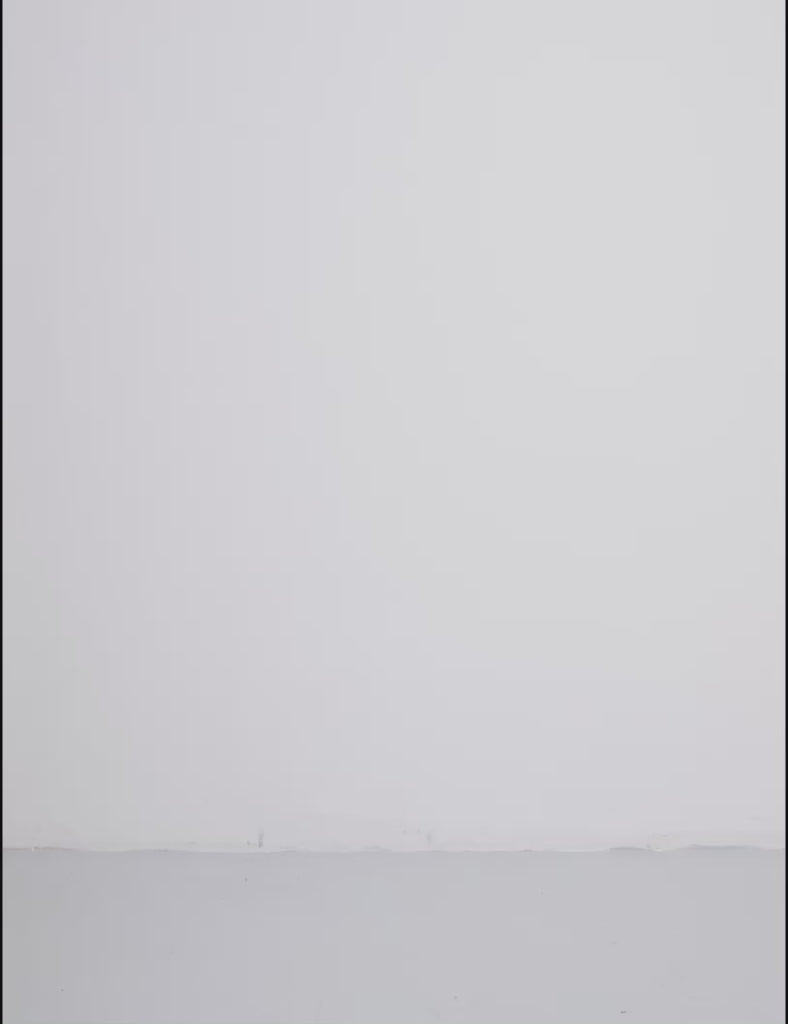 Isata-M_Grey Cow_Video_1