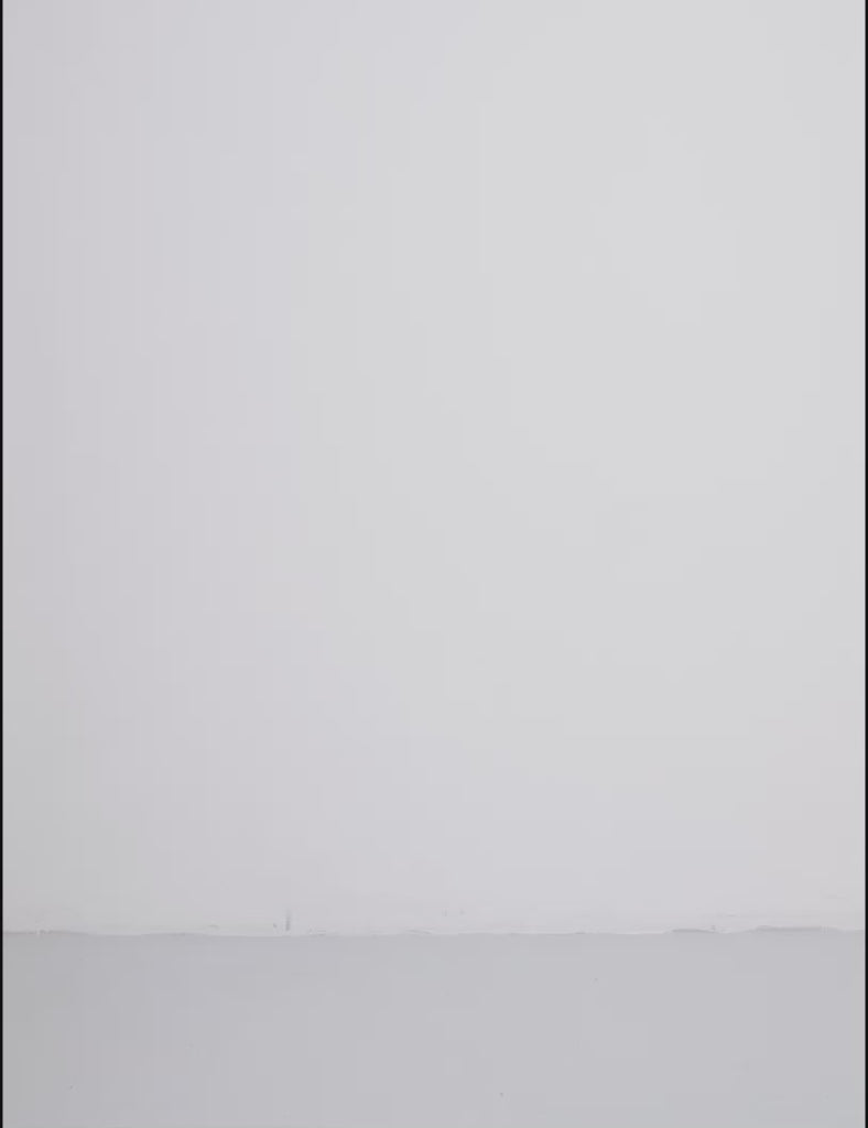 Jays-M_Grey Wash_Video_0